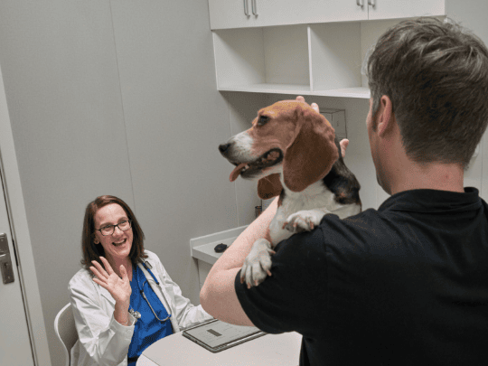 About Section Image 1