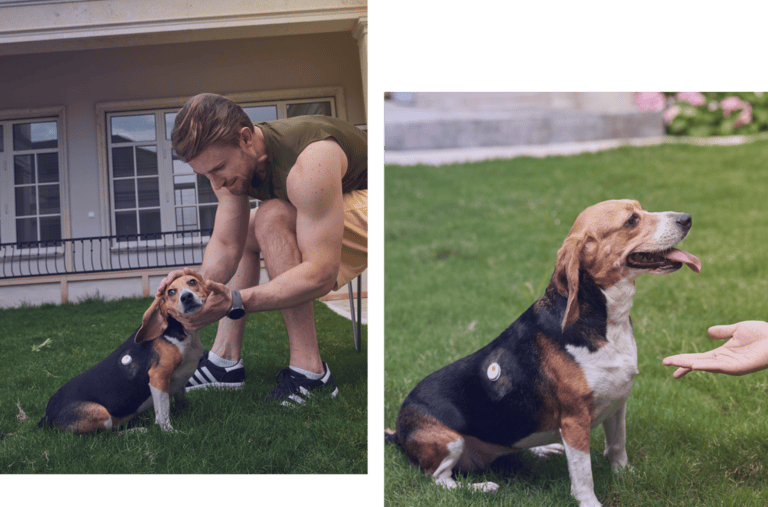 Service Section Image 1